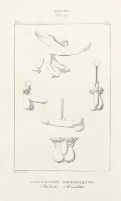 Общая коллекция картин, бронзы, мозаики и т.д. Геркуланума и Помпеи...